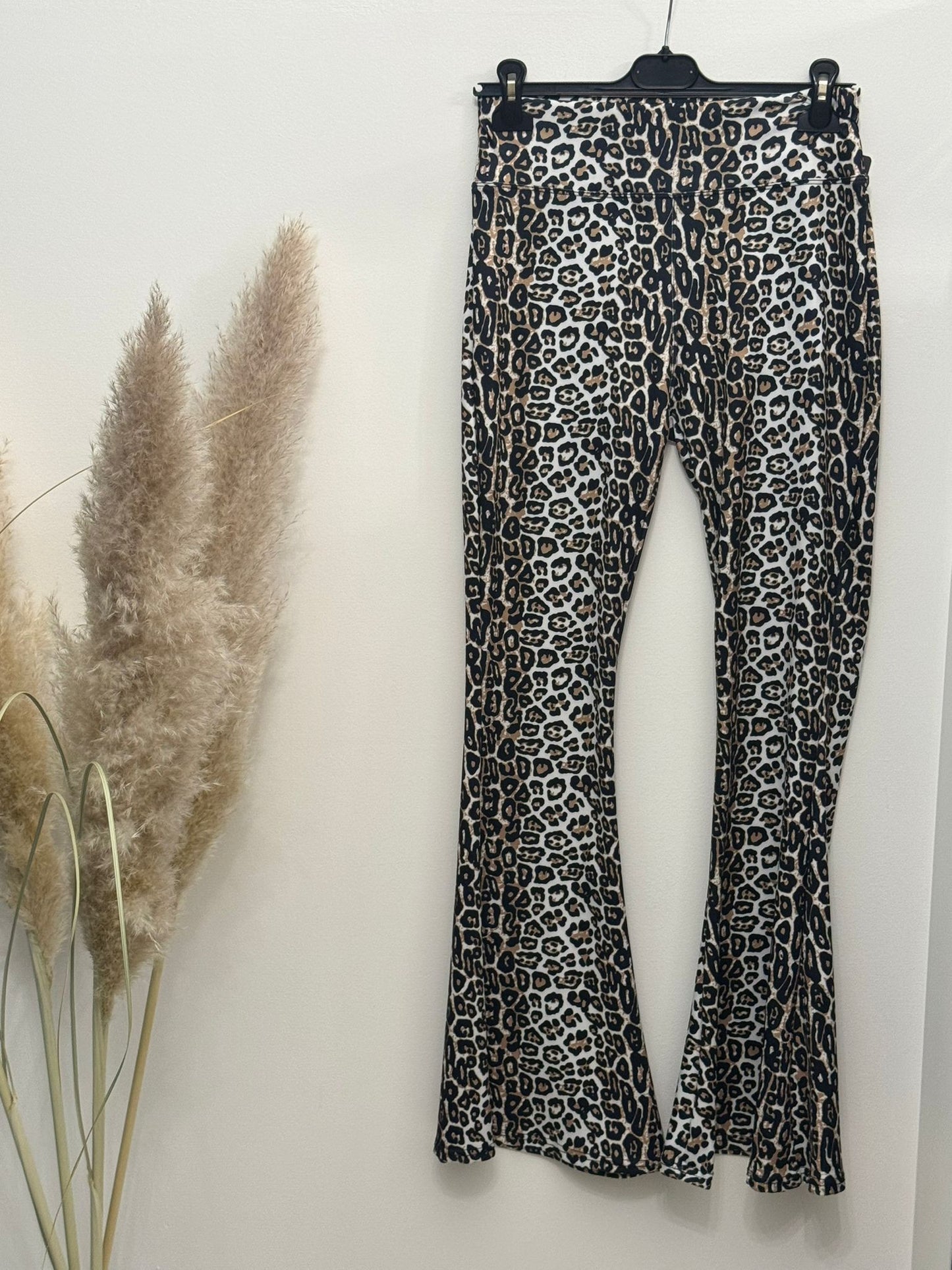 Panta/leggins
